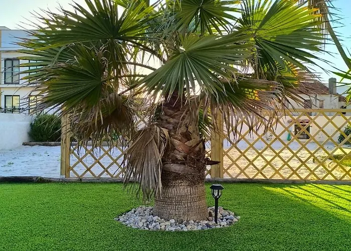 Apartment A My Own Paradise T2 1º Andar