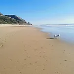 A My Own Paradise T2 1º Andar *